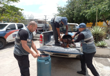 Prefeitura de Nova Iguaçu intensifica combate ao comércio ilegal de cobre com a Operação Sucata Legal
