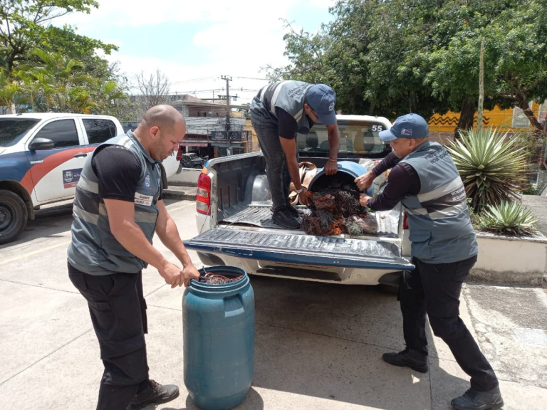 Prefeitura de Nova Iguaçu intensifica combate ao comércio ilegal de cobre com a Operação Sucata Legal