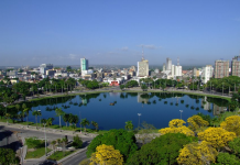 João Pessoa amplia ações de arborização com Programa João Pessoa + Verde