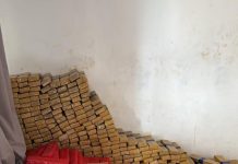 𝗣𝗼𝗹í𝗰𝗶𝗮 𝗖𝗶𝘃𝗶𝗹 𝗮𝗽𝗿𝗲𝗲𝗻𝗱𝗲 𝗺𝗮𝗶𝘀 𝗱𝗲 𝟰 𝘁𝗼𝗻𝗲𝗹𝗮𝗱𝗮𝘀 𝗱𝗲 𝗺𝗮𝗰𝗼𝗻𝗵𝗮 𝗲𝗺 𝗙𝗼𝘇 𝗱𝗼 𝗜𝗴𝘂𝗮ç𝘂