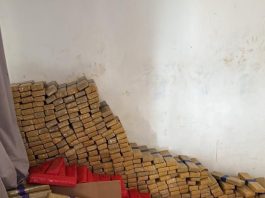 𝗣𝗼𝗹í𝗰𝗶𝗮 𝗖𝗶𝘃𝗶𝗹 𝗮𝗽𝗿𝗲𝗲𝗻𝗱𝗲 𝗺𝗮𝗶𝘀 𝗱𝗲 𝟰 𝘁𝗼𝗻𝗲𝗹𝗮𝗱𝗮𝘀 𝗱𝗲 𝗺𝗮𝗰𝗼𝗻𝗵𝗮 𝗲𝗺 𝗙𝗼𝘇 𝗱𝗼 𝗜𝗴𝘂𝗮ç𝘂